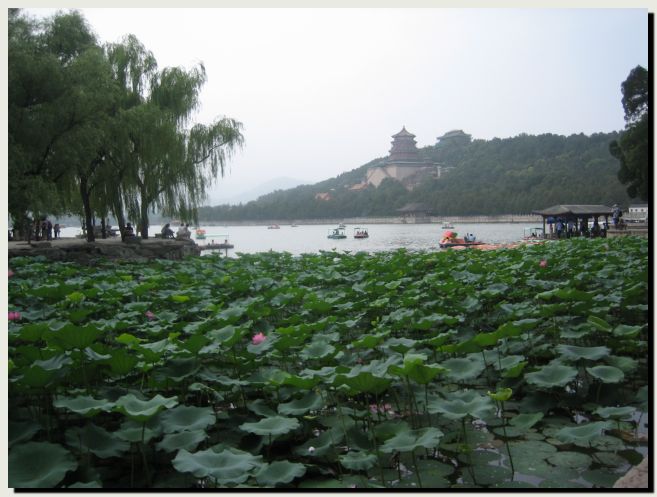 A return to the Summer Palace